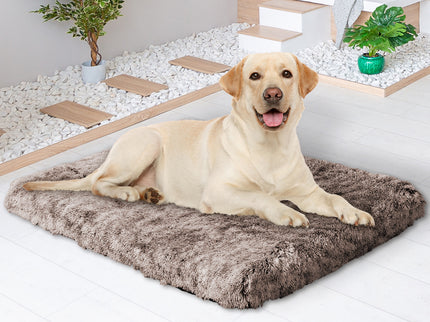 PaWz Dog Mat Pet Calming Bed Memory L Coffee Large-1864184528873066503