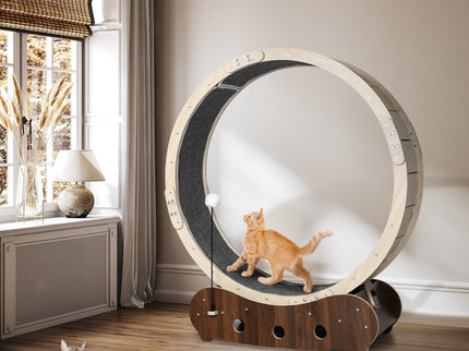 PaWz Cat Exercise Wheel Running Treadmill-1864184545113411591