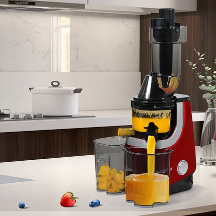 Spector Cold Press Slow Juicer Whole Red-1973193896368410631