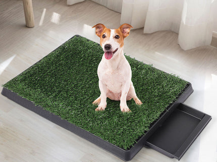 PaWz Indoor Dog Pet Grass Potty Training-1886651039562731527