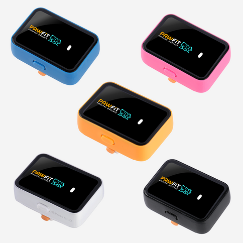 Pawfit Leash-1869883042714226688