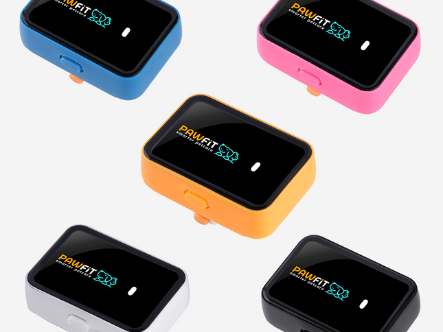 Pawfit 3 Case Clear-1869883043599224832