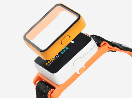 Pawfit Leash-1869883042714226689