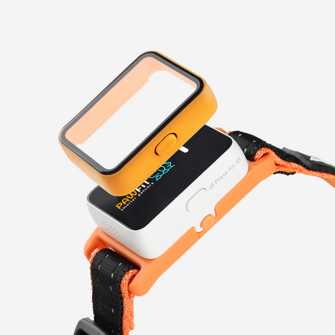 Pawfit Leash-1869883042714226689