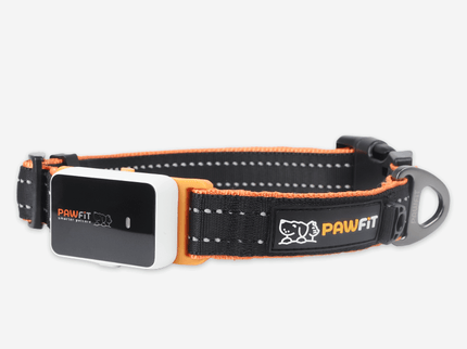 Pawfit 3 Collar Medium-1869883042252853248