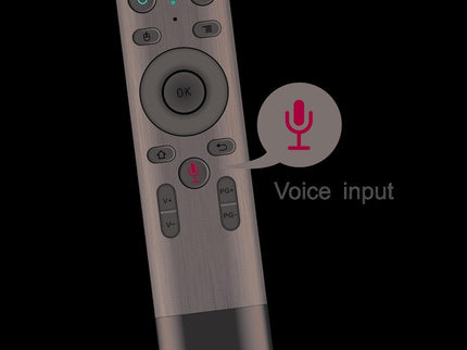 Universal 3D Air Mouse Remote With Voice Control-1915197465016012803