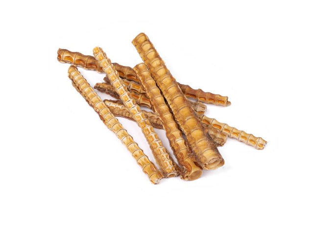 Shark Cartilage Dog Treat - 1kg-1962324918897086464