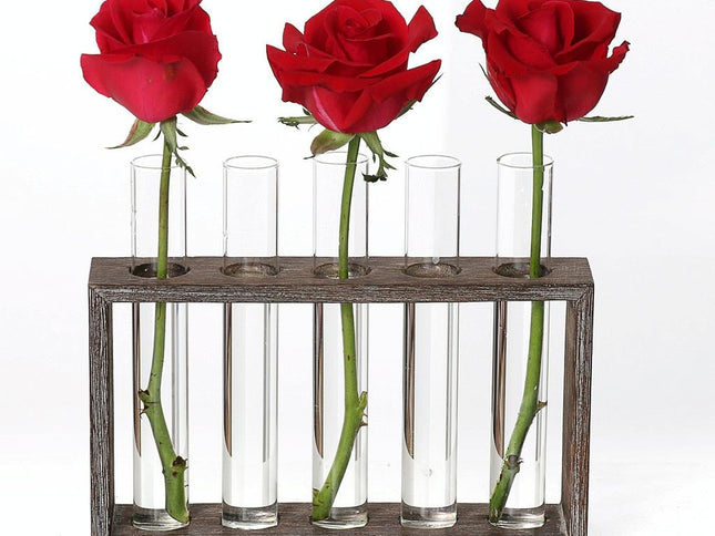 Minimalist Hydroponic Glass Vase With Wooden Frame For Coffee Shop Decor-1915198284557848577