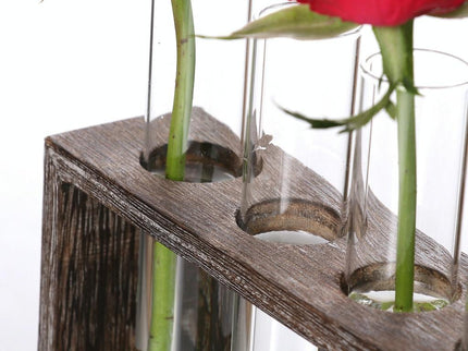 Minimalist Hydroponic Glass Vase With Wooden Frame For Coffee Shop Decor-1915198284557848579