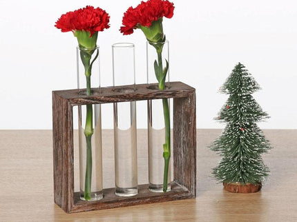 Minimalist Hydroponic Glass Vase With Wooden Frame For Coffee Shop Decor-1915198284557848580