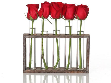 Minimalist Hydroponic Glass Vase With Wooden Frame For Coffee Shop Decor-1915198108057341953