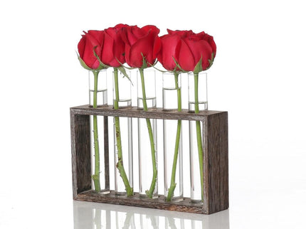Minimalist Hydroponic Glass Vase With Wooden Frame For Coffee Shop Decor-1915198108057341954
