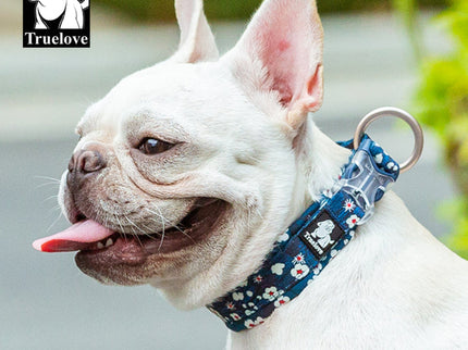 True Love Floral Dog Collar - Blue, XL-1831155615003709443