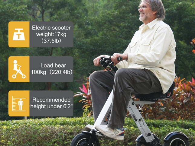 Foldable Electric Tricycle Lightweight Electric Scooter Home Electric Mobility - Silver - Size 36V8A250W