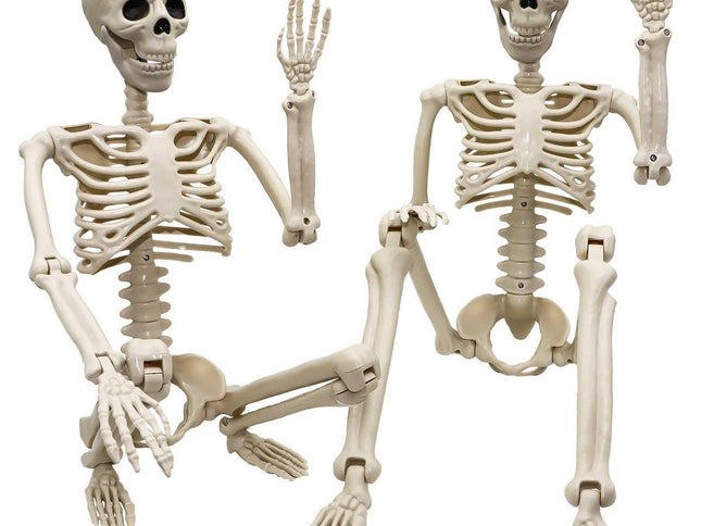 Halloween Skeleton 36-Inch Skeleton Poseable Skeleton Halloween Decorations - White - Size 2 Pcs