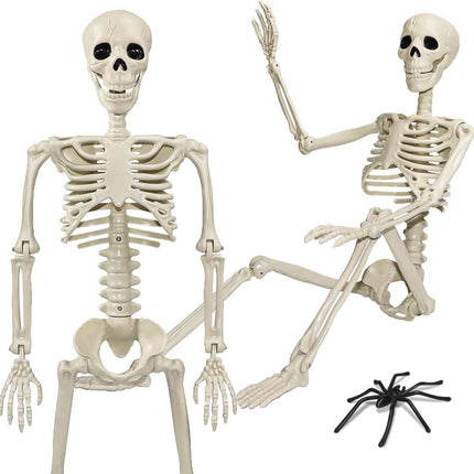 Halloween Skeleton 36-Inch Skeleton Poseable Skeleton Halloween Decorations - White - Size 2 Pcs