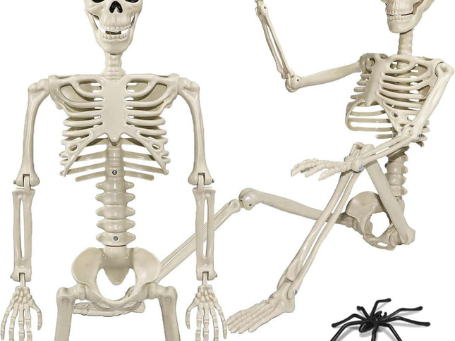 Halloween Skeleton 36-Inch Skeleton Poseable Skeleton Halloween Decorations - White - Size 2 Pcs