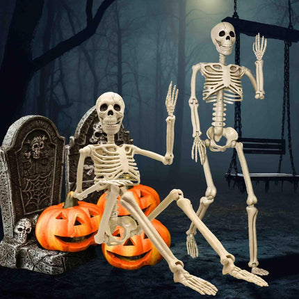 Halloween Skeleton 36-Inch Skeleton Poseable Skeleton Halloween Decorations - White - Size 2 Pcs