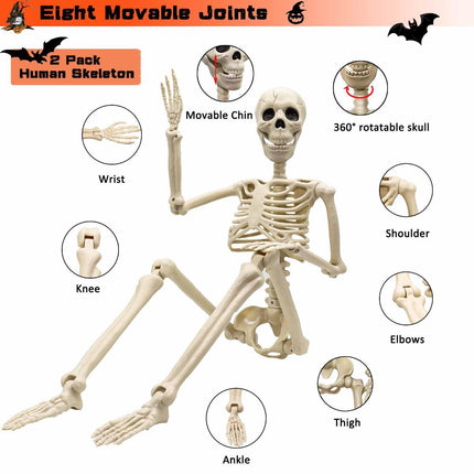 Halloween Skeleton 36-Inch Skeleton Poseable Skeleton Halloween Decorations - White - Size 2 Pcs