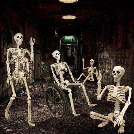 Halloween Skeleton 36-Inch Skeleton Poseable Skeleton Halloween Decorations - White - Size 2 Pcs
