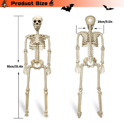 Halloween Skeleton 36-Inch Skeleton Poseable Skeleton Halloween Decorations - White - Size 2 Pcs