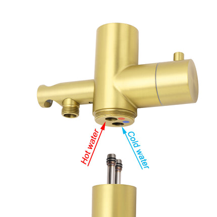 WELS Brushed Gold Twin Shower Handset Combo Set Outdoor Washing 10" Head 316 SUS