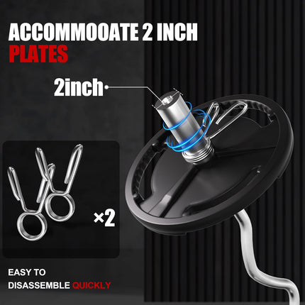 Olympic EZ Curl Bar - 47" Weightlifting Barbell for Bicep Curls & Tricep Extensions Fits 2-Inch Weight Plates 500LB Capacity Chrome with Needle Bearings 2 Spring Collars