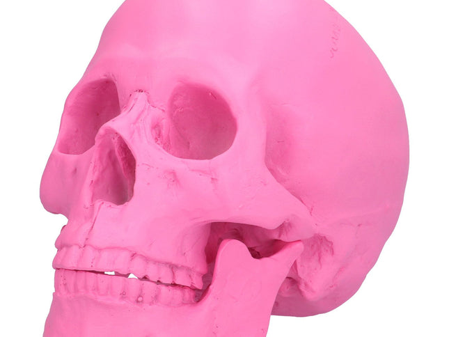 Resin Halloween Skull Decor Festival Home Props Fake Whole Person Skull Ornaments Pink