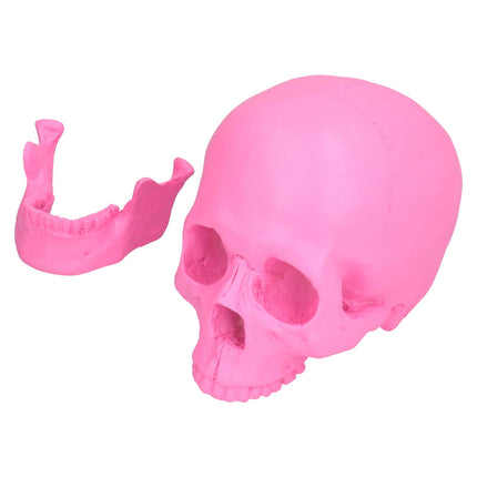 Resin Halloween Skull Decor Festival Home Props Fake Whole Person Skull Ornaments Pink