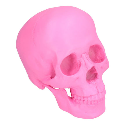 Resin Halloween Skull Decor Festival Home Props Fake Whole Person Skull Ornaments Pink