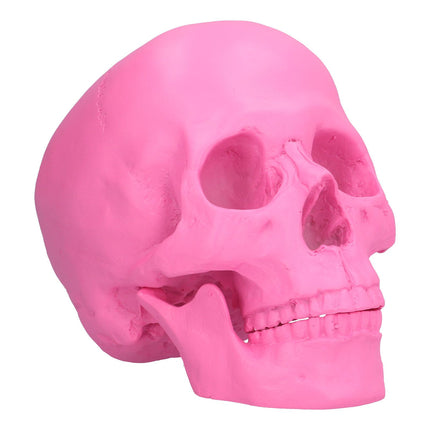 Resin Halloween Skull Decor Festival Home Props Fake Whole Person Skull Ornaments Pink