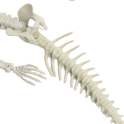 Halloween Skeleton Decoration Realistic Scary Skeleton Figurine Ornament for Haunted House Party Outdoor