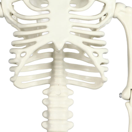Life Size Skeleton Mermaid Halloween Outdoor Decorations Movable Posable Joints Realistic Full Body Skeleton Mermaid Props