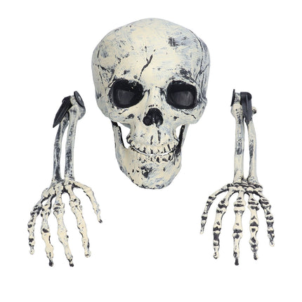 Skeleton Decor Cosplay DIY Multifunctional Lifelike Compact Scary Halloween Skeleton