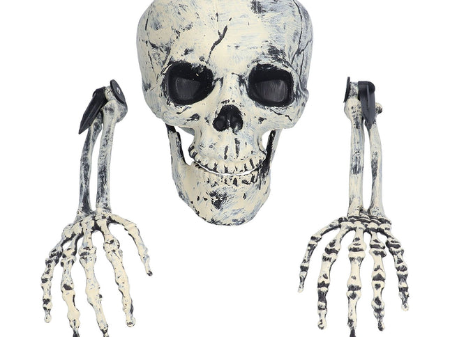 Skeleton Decor Cosplay DIY Multifunctional Lifelike Compact Scary Halloween Skeleton