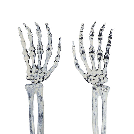 Skeleton Decor Cosplay DIY Multifunctional Lifelike Compact Scary Halloween Skeleton