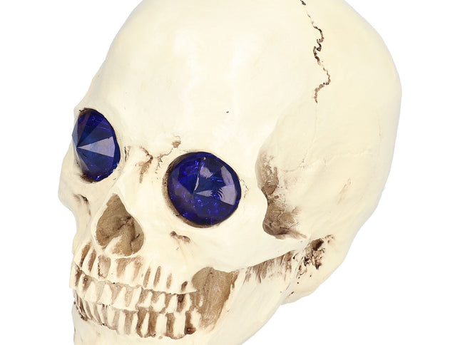 Skull Ornaments Vivid Lightweight Easily Clean Add Horror Ambience Halloween Props for Party Haunted House Decoration