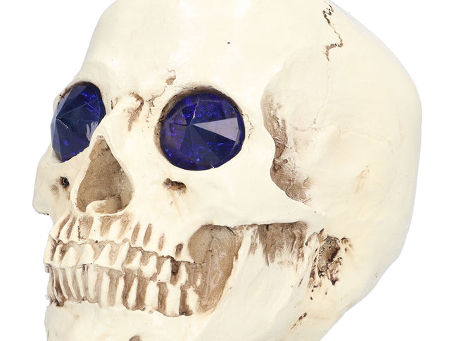 Skull Ornaments Vivid Lightweight Easily Clean Add Horror Ambience Halloween Props for Party Haunted House Decoration