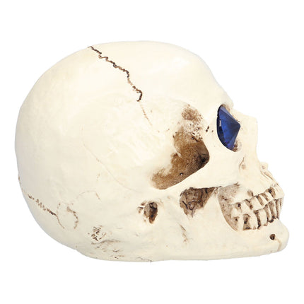 Skull Ornaments Vivid Lightweight Easily Clean Add Horror Ambience Halloween Props for Party Haunted House Decoration
