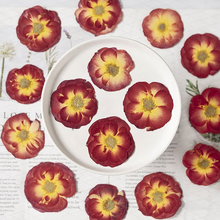 16 Pcs Dried Pressed Rose, Real Dried Pressed Flowers for Resin Scrapbook Supplies Card Making Soap Candle DIY Art Crafts