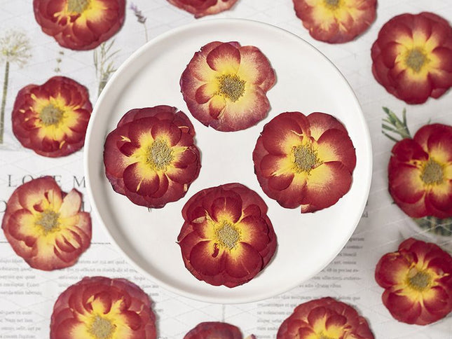 16 Pcs Dried Pressed Rose, Real Dried Pressed Flowers for Resin Scrapbook Supplies Card Making Soap Candle DIY Art Crafts