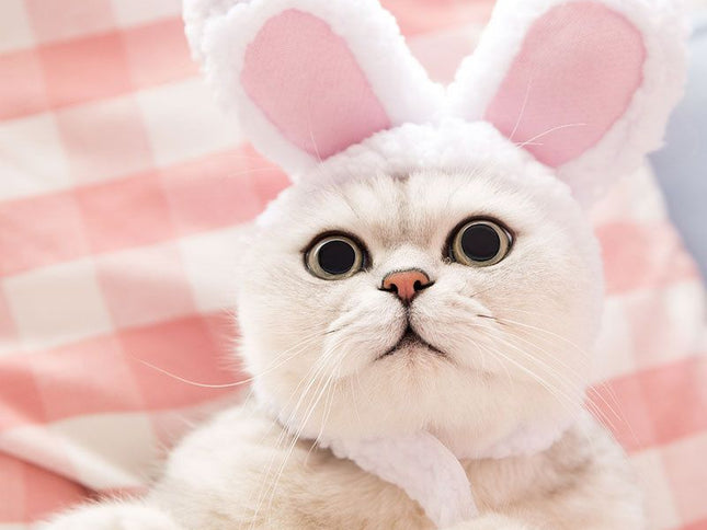 Cat Easter Cute Costume Pet Bunny Rabbit Hat with Ears for Cats Small Dogs Puppy Easter Party Costume Accessory Headwear