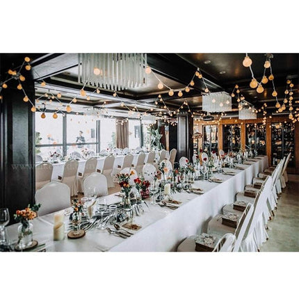20 LED Connectable Globe String Lights Indoor Bedroom, 16.4ft Warm White String Lights with for Classroom Patio Party
