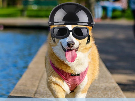 Dog Helmet Goggles, Small Size, Black