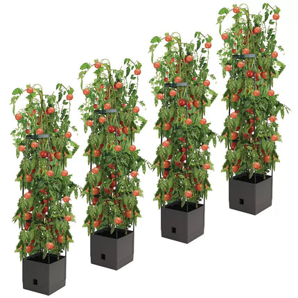 Tomato Tower With 3 Tier Frame 4 x Pack