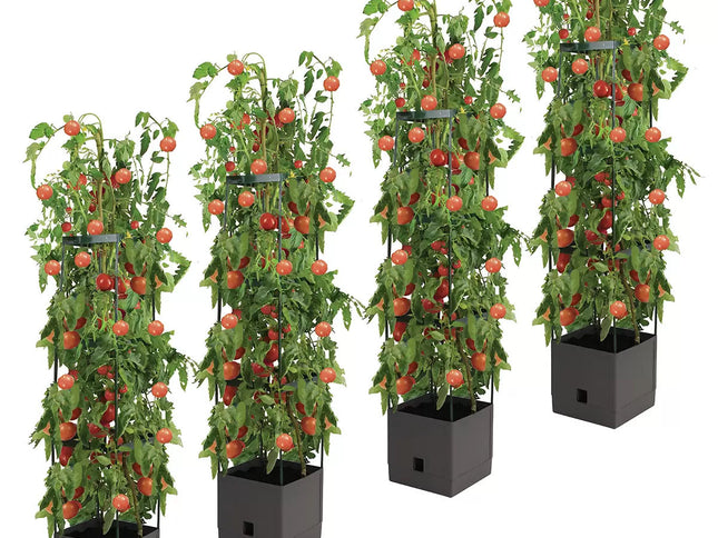 Tomato Tower With 3 Tier Frame 4 x Pack