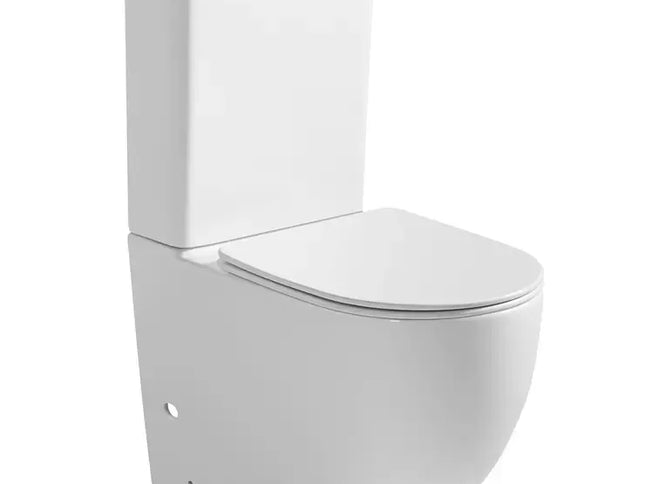 White Dual Flush Ceramic Skirted Toilet with Heavy Duty Slow Closing Seat