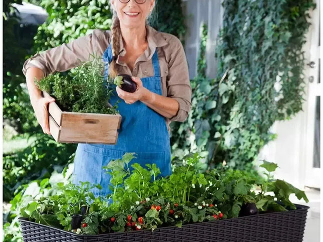 Dark Brown Easy Grow Planter Bed Brown with Water Gauge and Drainage System