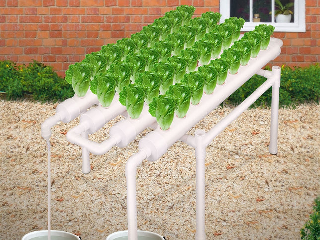 36 Sites Hydroponic Grow Tool Kits Vegetable Garden System 220V Water Pump