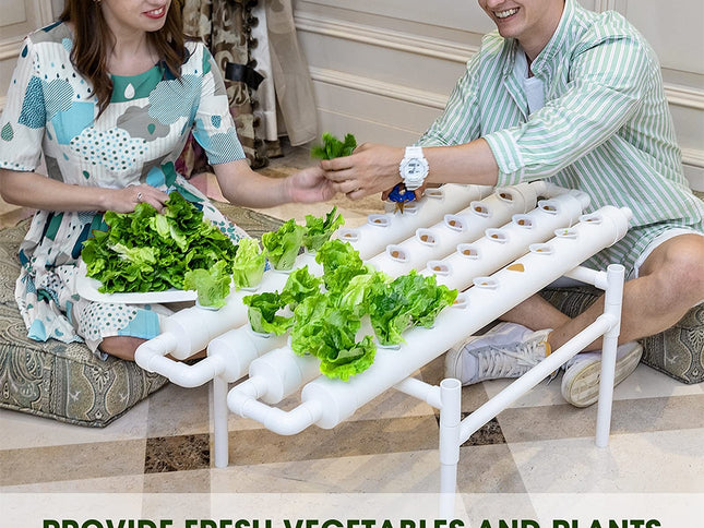 36 Sites Hydroponic Grow Tool Kits Vegetable Garden System 220V Water Pump